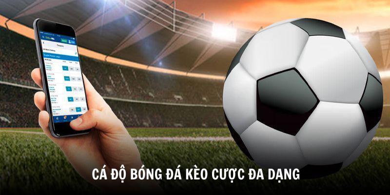 ca-do-bong-da-188bet