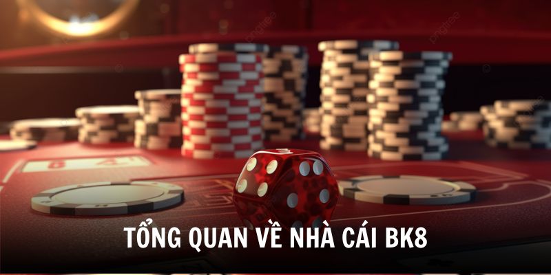 tong-quan-ve-nha-cai-bk8
