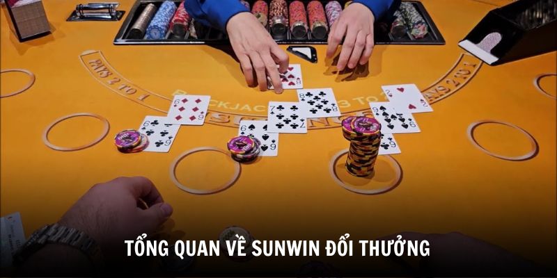 tong-quan-ve-sunwin-doi-thuong